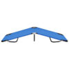 Zena Outdoor Foldable Sun Chaise Lounger 75inch, Steel, Blue Polyester