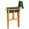 Outdoor Foldable Directors Chair, Brown Acacia Wood, Green Fabric