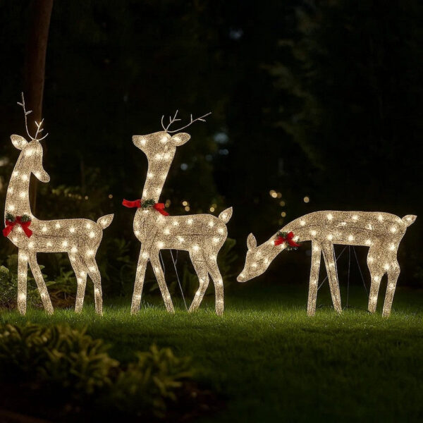 Edy 6pc Outdoor Christmas Decor Set, 180 Cool White LEDs