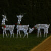 Edy 6pc Outdoor Christmas Decor Set, 180 Cool White LEDs