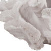 Lily 9 Inch Faux Coral Table Figurine, Polyresin Textured Sculpture, White