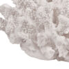 Lily 9 Inch Faux Coral Accent Sculpture, Polyresin Table Decoration, White