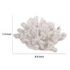 Lily 9 Inch Faux Coral Accent Sculpture, Polyresin Table Decoration, White