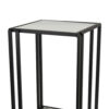 Buckley Plant Stand Table, Black Metal, Square Mirrored Top, 22 Inch