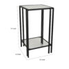 Buckley Plant Stand Table, Black Metal, Square Mirrored Top, 22 Inch