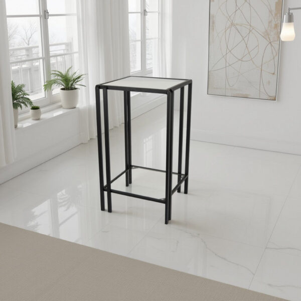 Buckley Plant Stand Table, Black Metal, Square Mirrored Top, 22 Inch