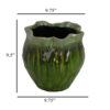 Balie Accent Vase, Green Ceramic Irregular Top Edge, Modern 10 Inch