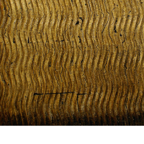 Modern Style Wood Wall Decor with Patterned Carving, Large, Gold & Brown