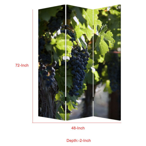 Grape Vine Print Foldable Canvas Screen with 3 Panels, Multicolor
