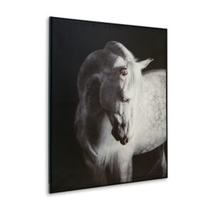 Arc Horse Silhouette Wall Art Painting, 40x50, Black and White Canvas
