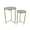 Modern Plant Stand Table Set of 2, Round Mirror Top, Gold Metal Base