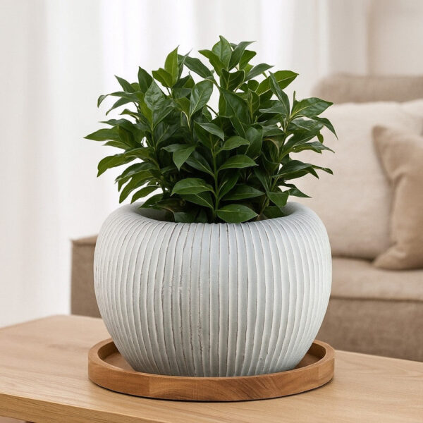 Nios Decorative Vase, Short and Wide, 17 Inch Weathered White Resin