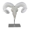 Mitch Bighead Sheep Ram Sculpture w Curved Horns, White Resin 16 Inch