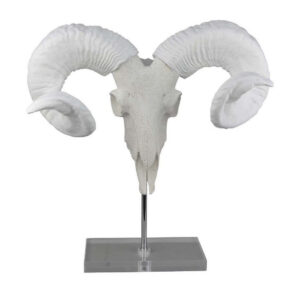 Mitch Bighead Sheep Ram Sculpture w Curved Horns, White Resin 16 Inch