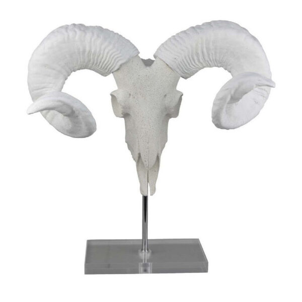 Mitch Bighead Sheep Ram Sculpture w Curved Horns, White Resin 16 Inch