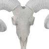 Mitch Bighead Sheep Ram Sculpture w Curved Horns, White Resin 16 Inch