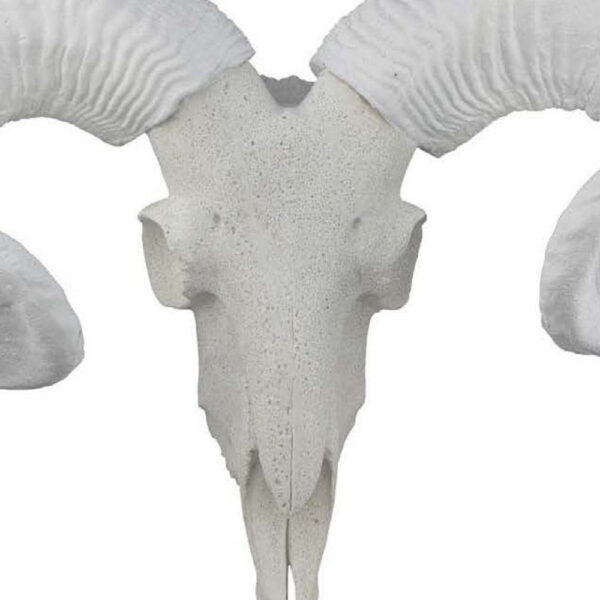 Mitch Bighead Sheep Ram Sculpture w Curved Horns, White Resin 16 Inch