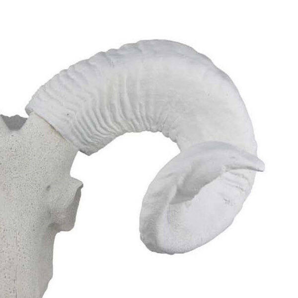 Mitch Bighead Sheep Ram Sculpture w Curved Horns, White Resin 16 Inch