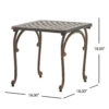 Lyra Outdoor Side End Table, Cabriole Legs, Brown Aluminium, 18 Inch
