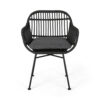 Tee Outdoor Conversation Chair Set of 2, Gray Rattan, Black Metal
