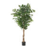 Deso Artificial Ficus Tree, Green Leaves w Twisted Trunk, 71 Inch