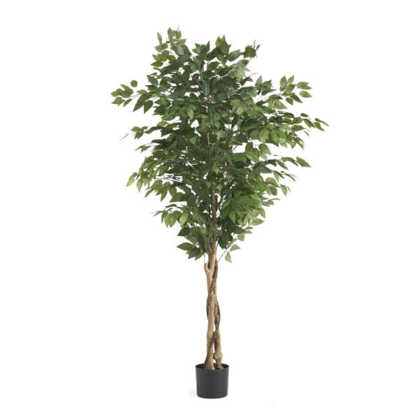 Deso Artificial Ficus Tree, Green Leaves w Twisted Trunk, 71 Inch