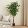Deso Artificial Ficus Tree, Green Leaves w Twisted Trunk, 71 Inch