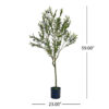 Vina Artificial Olive Tree, Realistic Green Silk Leaves, 59 Inch