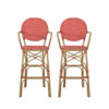 Lyam Set of 2 Outdoor Barstool Chair, Red Woven Wicker, Brown Aluminum
