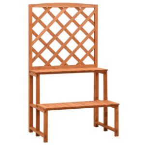 Pany Planter Stand with Trellis, 2 Tier Adjustable Shelves, Solid Firwood