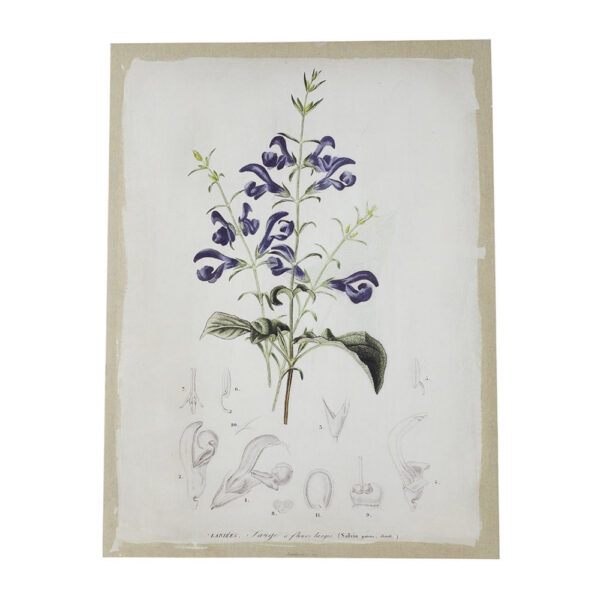 24 x 32 Set of 2 Framed Wall Art Prints, Floral, Modern White and Black