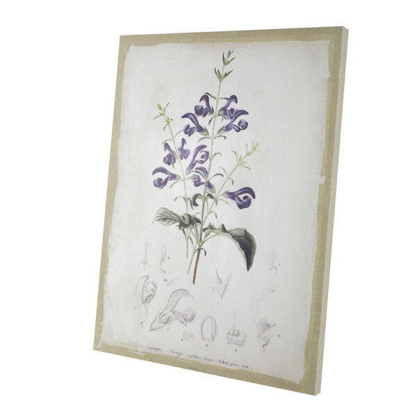 24 x 32 Set of 2 Framed Wall Art Prints, Floral, Modern White and Black