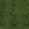 Button Tufted Velvet Upholstered Wooden Ottoman with Hidden Storage, Green and Brown