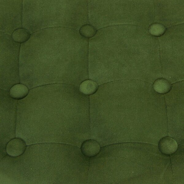 Button Tufted Velvet Upholstered Wooden Ottoman with Hidden Storage, Green and Brown
