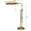 Metal Rectangular Desk Lamp with Adjustable Pole, Gold