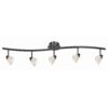 5 Light 120V Metal Track Light Fixture with Glass Shade, Black and White
