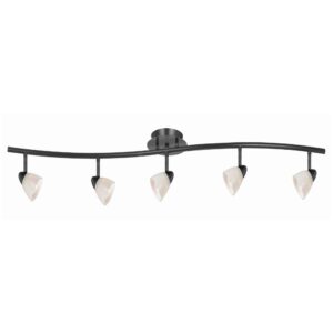 5 Light 120V Metal Track Light Fixture with Glass Shade, Black and White