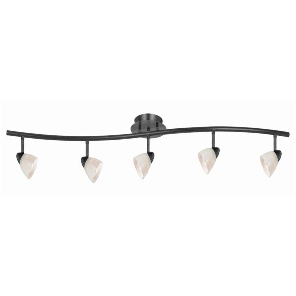 5 Light 120V Metal Track Light Fixture with Glass Shade, Black and White
