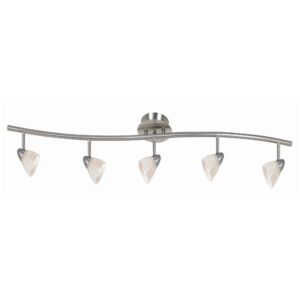 5 Light 120V Metal Track Light Fixture with Glass Shade, White and Silver