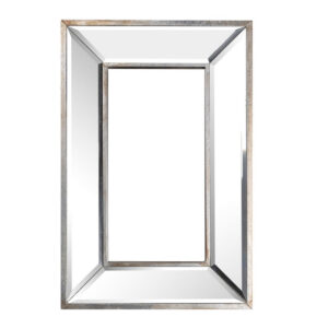 Toby 12 x 18 Inch Wall Mount Accent Mirror, Antique Silver Wood Frame