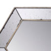 Filo 21 Inch Wall Accent Mirror, Raised Tray Edges, Hexagonal Mirror Frame