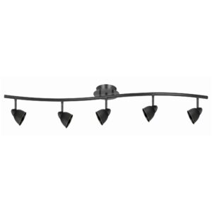 5 Light 120V Metal Track Light Fixture with Round Shade, Black