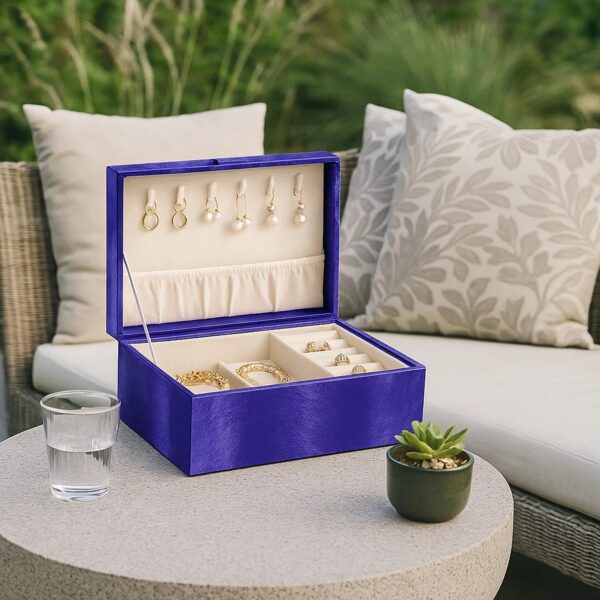Jewelry Case with 2 Slots and Earrings Hanger, Blue