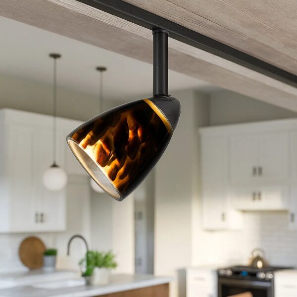 Hand Blown Glass Shade Track Light Head with Metal Frame, Gold and Bronze