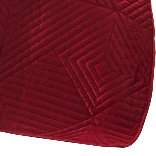 Ahab 50 x 60 Inch Quilted Throw Blanket with Fill, Dutch Velvet Face, Red