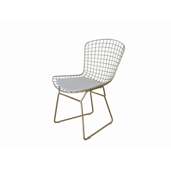 Hely 23 Inch Dining Chair Set of 2, 4 Cushions, Metal Cage Frame, Gold