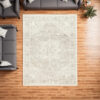 Wei 5 x 7 Medium Area Rug, Persian Inspired Medallion Motif, Beige Gray