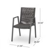 Teny Outdoor Dining Chair Set of 2, Dark Gray Metal. Woven Rope Seat Back