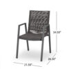 Teny Outdoor Dining Chair Set of 2, Dark Gray Metal. Woven Rope Seat Back
