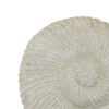 Seashell Tabletop Accent Decor, Faux Fossil, Rich White Resin 21 Inch